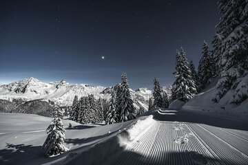 Snowshoeing