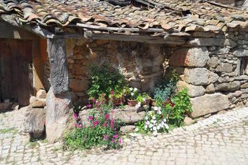 Photo 24