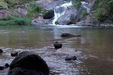 Game drive