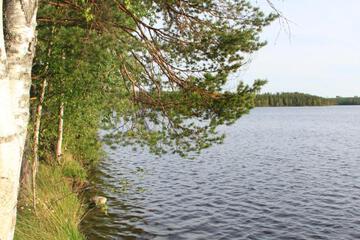 Photo 29