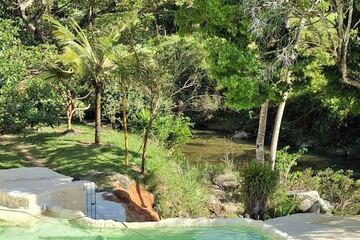 Natural pool
