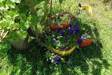Photo 20