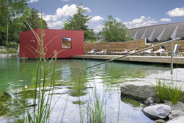 Natural pool