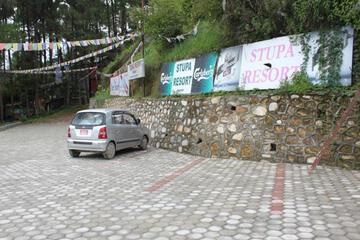 Photo 41
