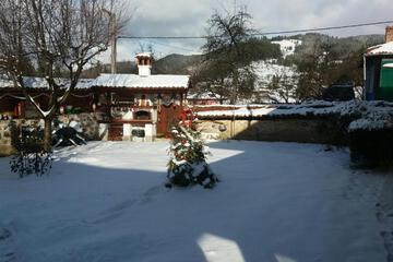 Photo 13