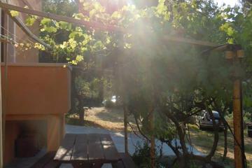 Photo 41