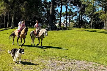 Horseback riding