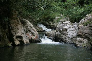 Photo 48
