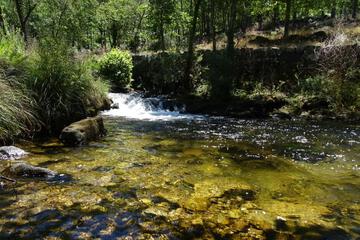 Photo 29