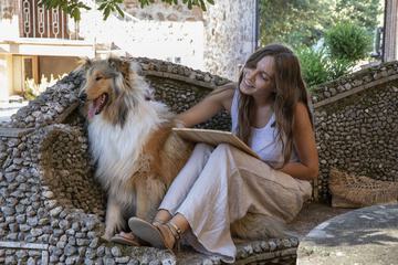 Pet-friendly
