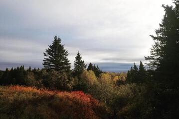 Photo 29