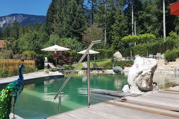 Natural pool