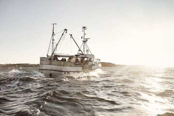 Fishing