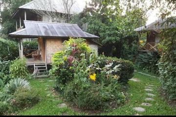 Photo 38