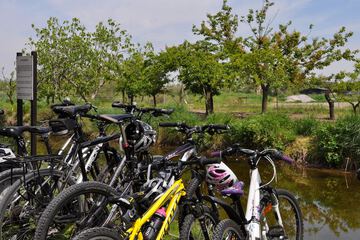 Bicycling