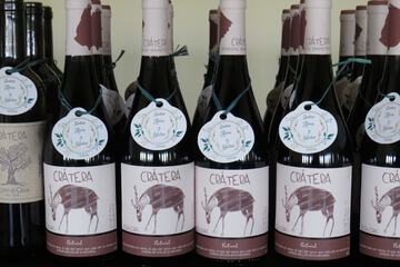 Winery