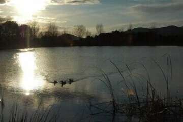 Lake view