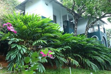Photo 47