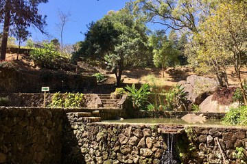 Fountain