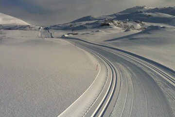 Skiing