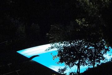 Photo 51