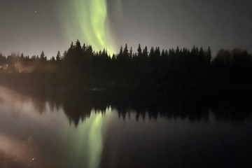 Property Grounds 51 of 53