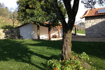 Photo 62