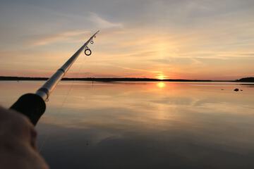 Fishing