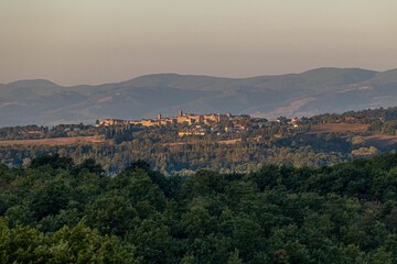 Land view from property