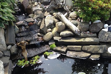 Fountain