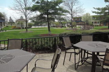 Terrace or Patio