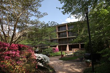 Property Grounds 49 of 52