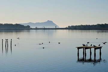 Lake