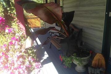 Photo 31