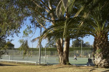 Tennis court