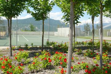 Tennis court