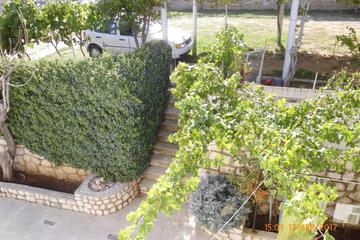 Photo 81