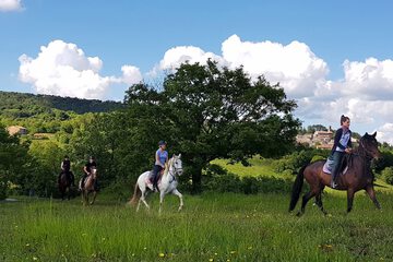 Horseback riding
