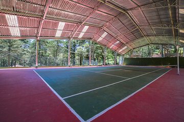 Tennis court