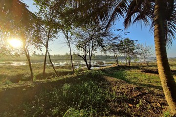 Lake view