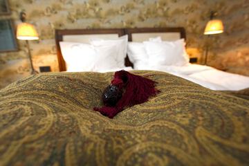 Room amenity