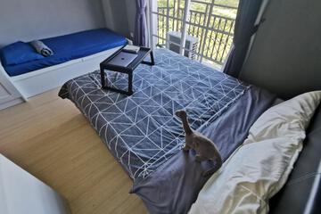 Photo 44
