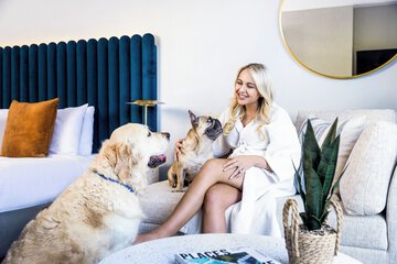 Pet-friendly
