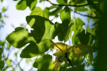Photo 47