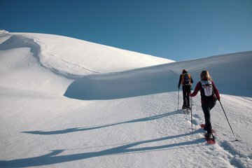 Snowshoeing