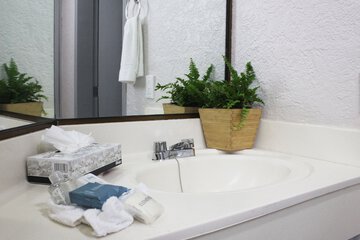 Bathroom sink