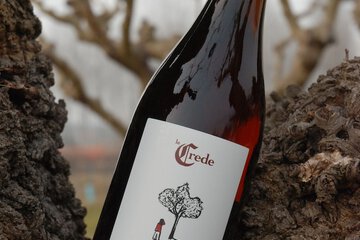 Winery