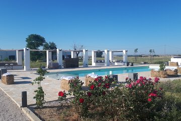 Outdoor wedding area