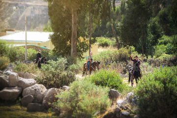 Horseback riding