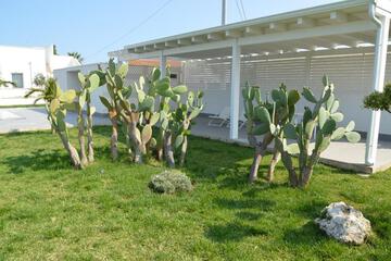 Photo 46